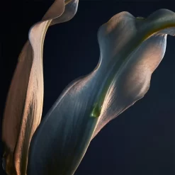 Paco Rabanne Lady MillionBody Lotion -Schoonheid Cosmetica DIqMTR035731 2 global