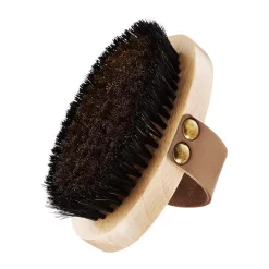 Ionizing Dry Body Brush