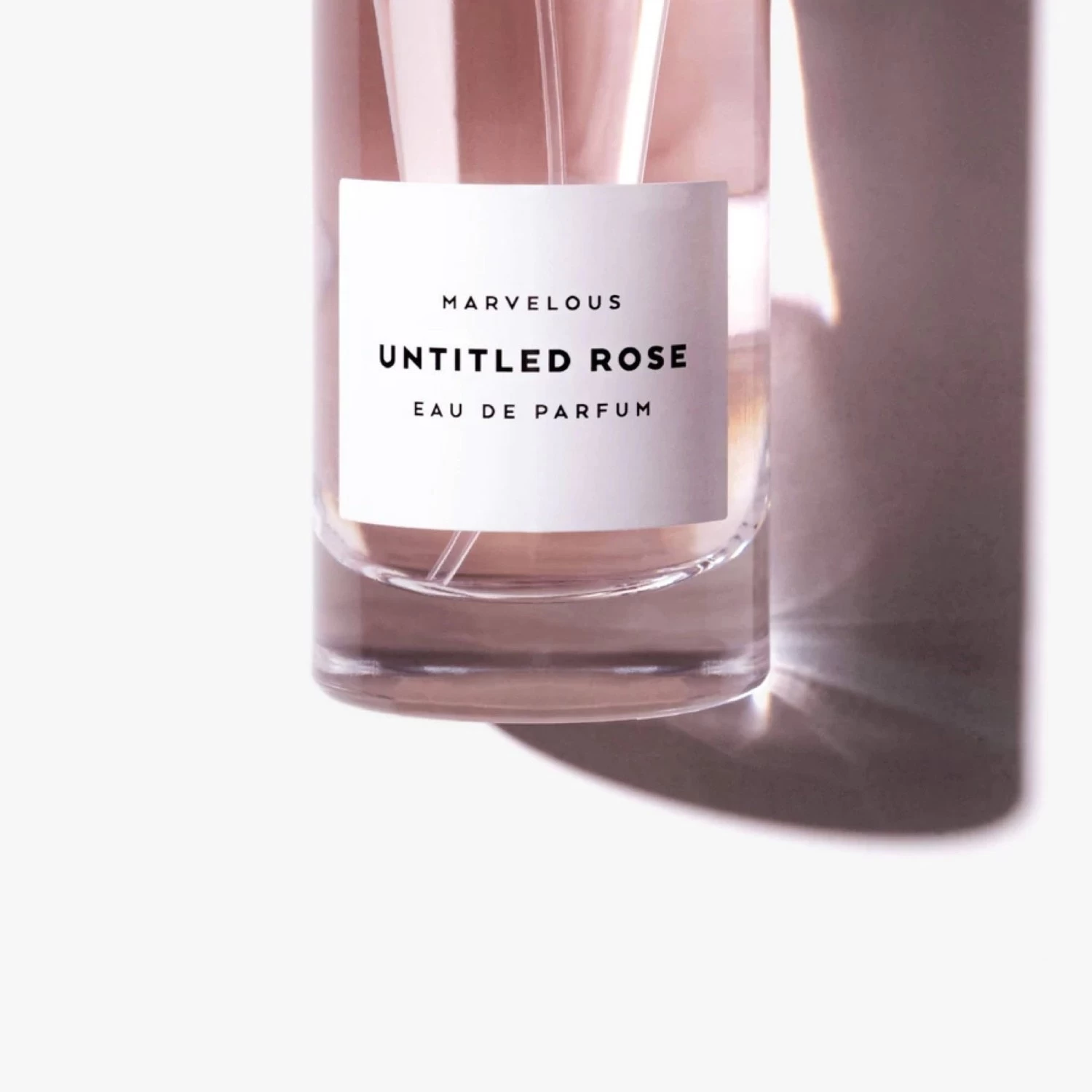 Untitled Rose 5 Untitled Rose - Afbeelding 5