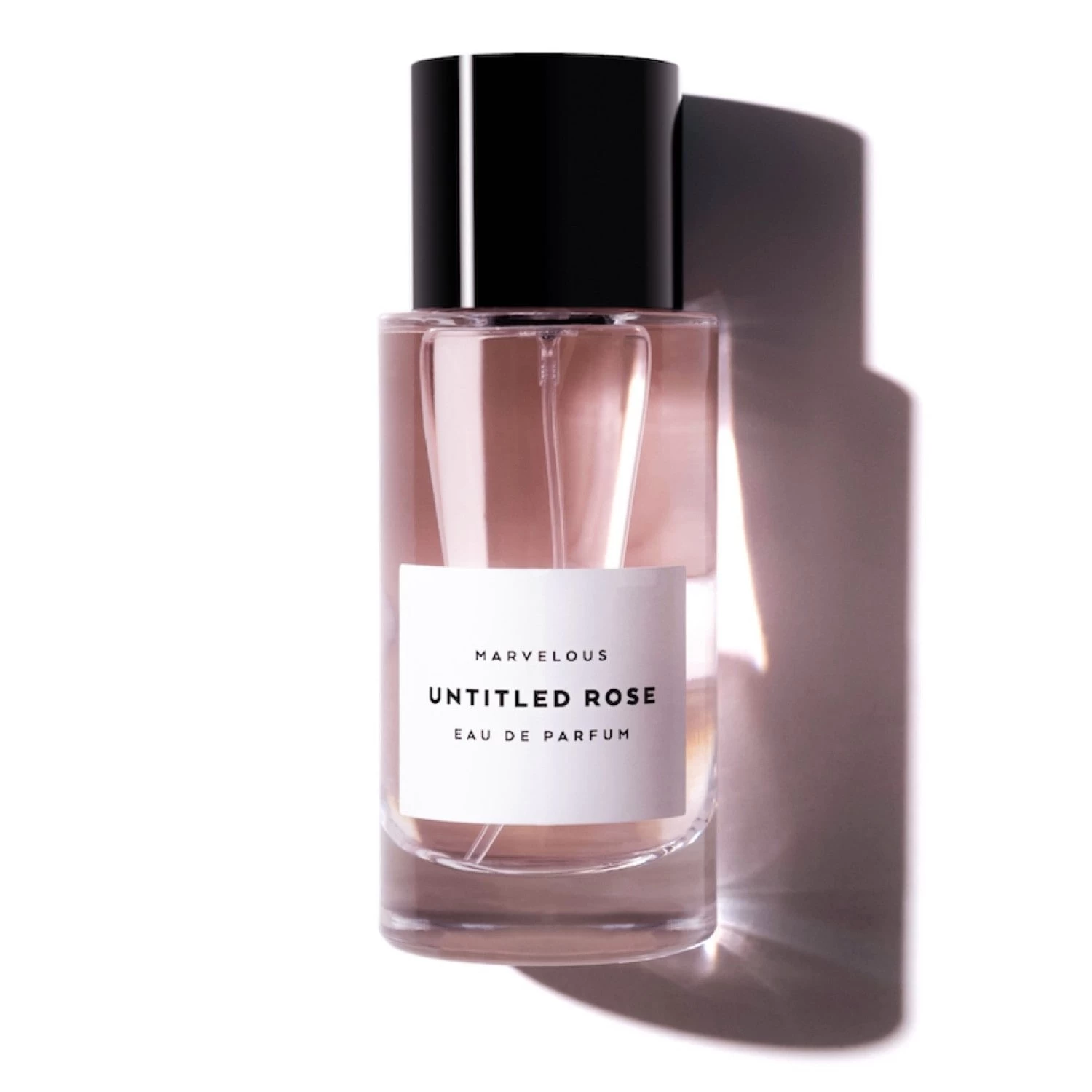 Untitled Rose 2 Untitled Rose - Afbeelding 2