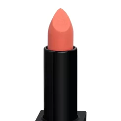 Lèvres Sexy Lips Matte Lipstick -Schoonheid Cosmetica PixLGa474688 2 dgl NL