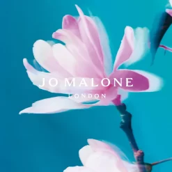 Blossoms Collection Limited EditionStar Magnolia Cologne -Schoonheid Cosmetica kVVV8k1078114 3 dgl NL