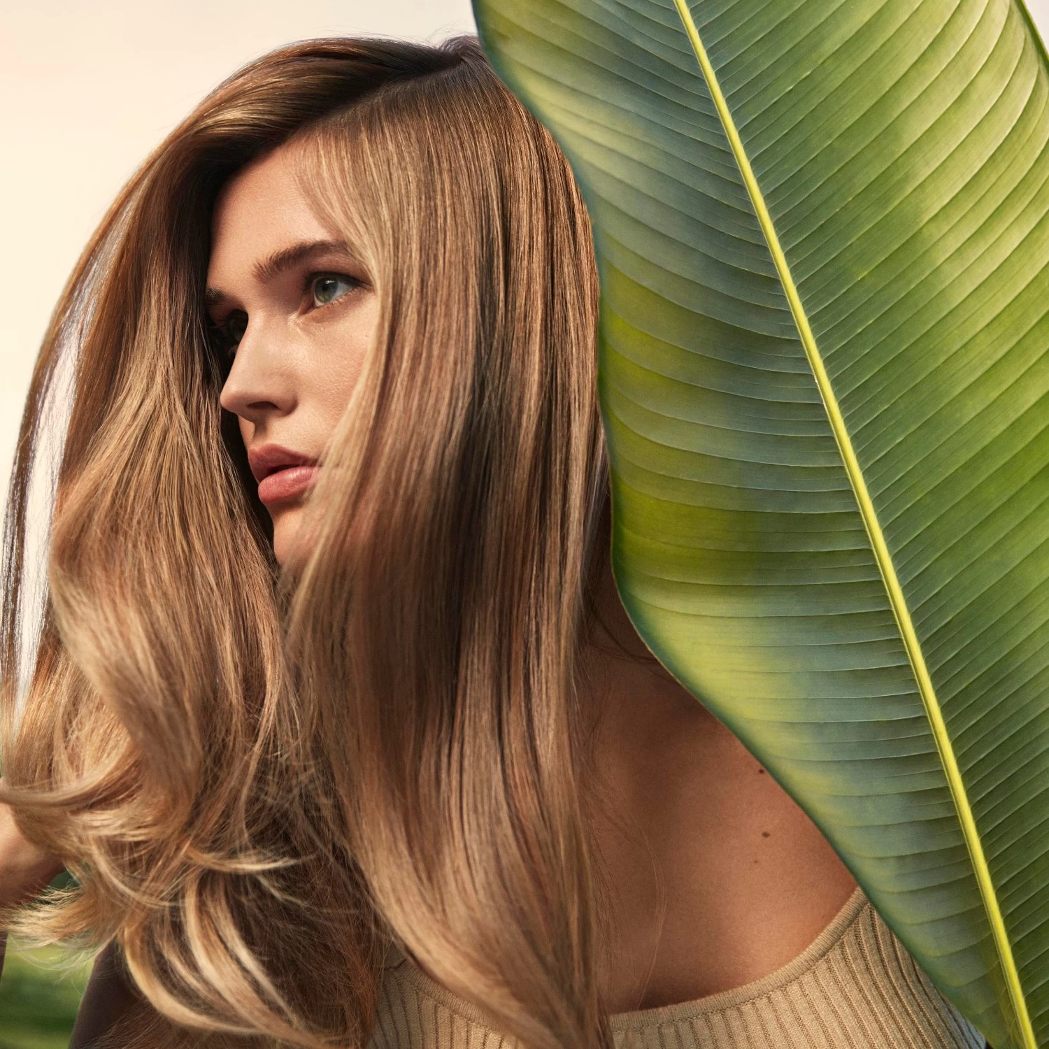Aveda Nutriplenish™multi-use Hair Oil 9 Aveda Nutriplenish™multi-use Hair Oil - Afbeelding 9